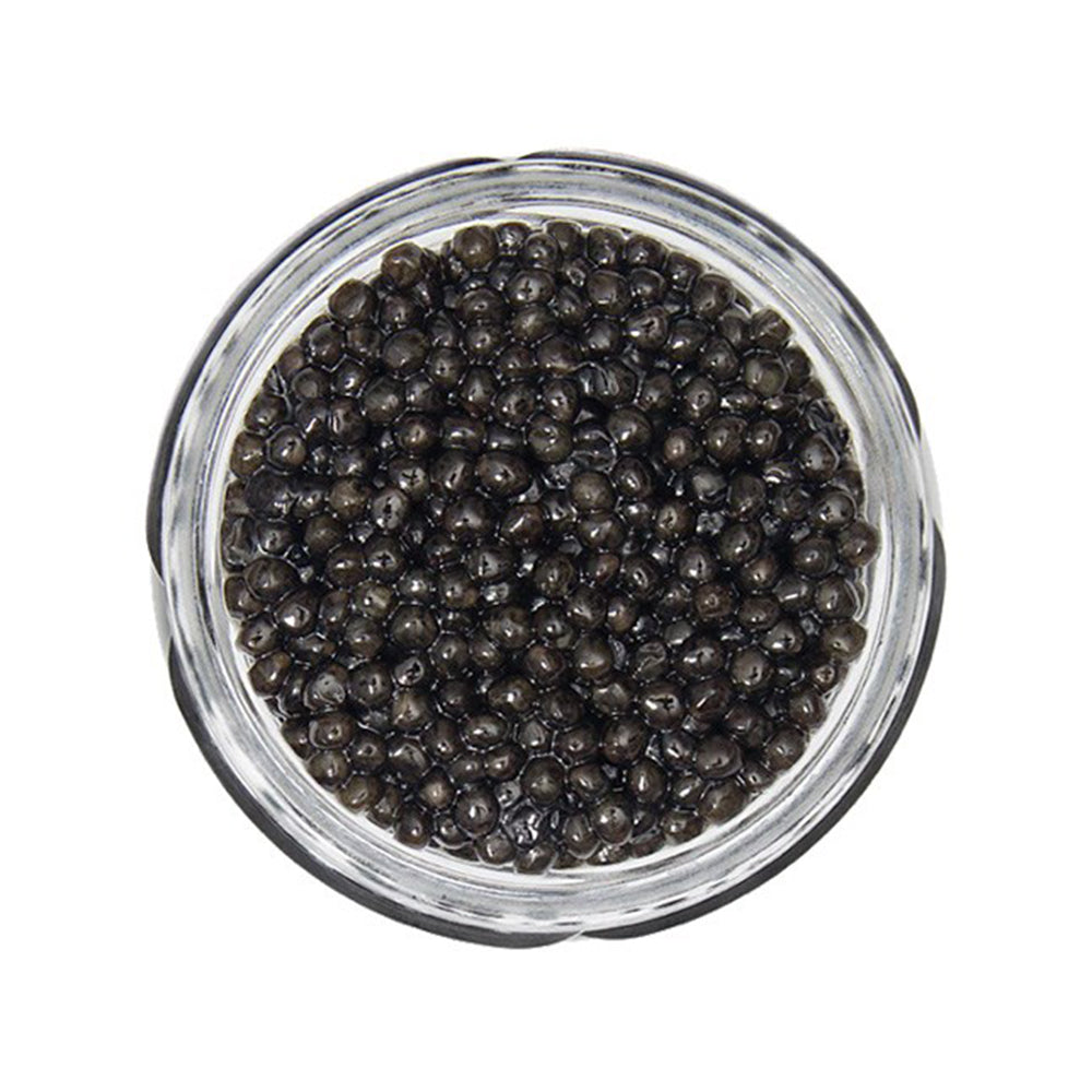 Wholesale Sasanian White Sturgeon Caviar 4oz- Bulk