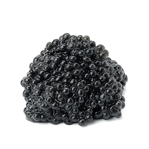 Wholesale Sasanian Paddlefish Spoonbill Caviar 1oz- Bulk