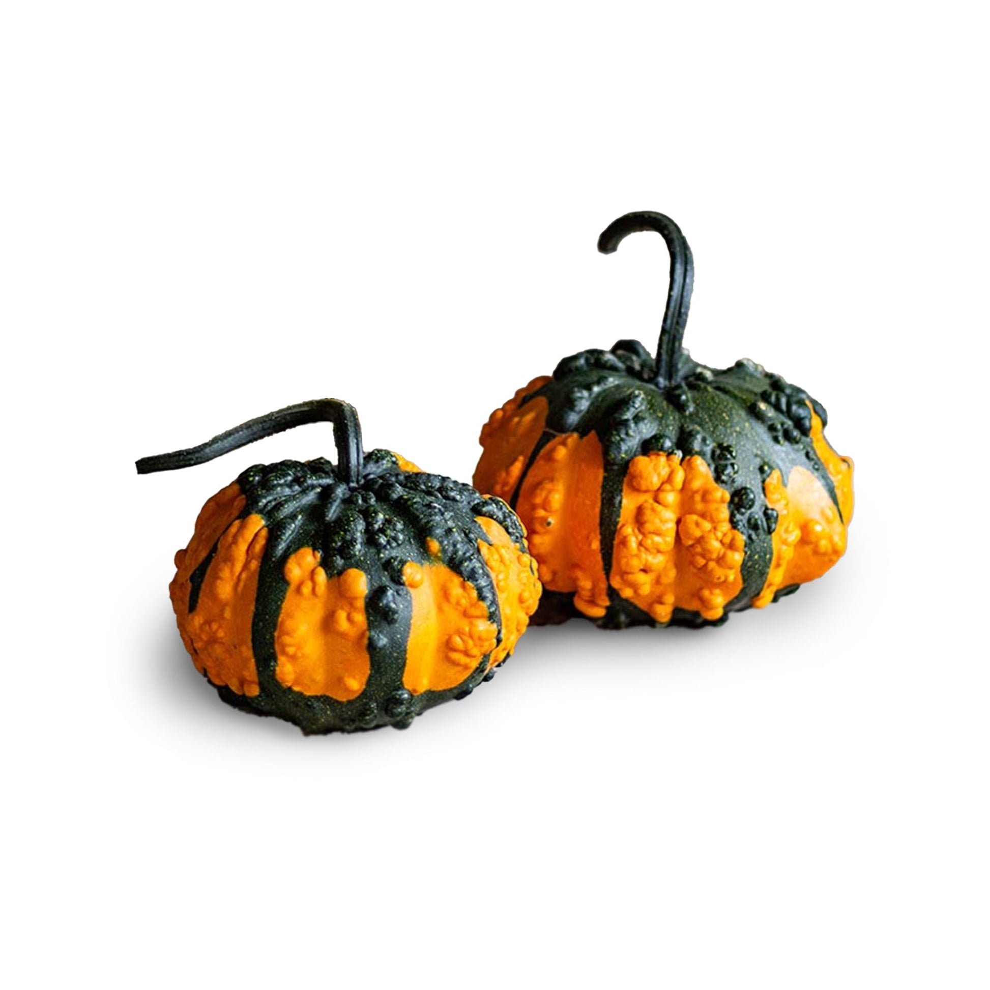 Wholesale Dix Farms Pumpkin Hoargarth- Bulk