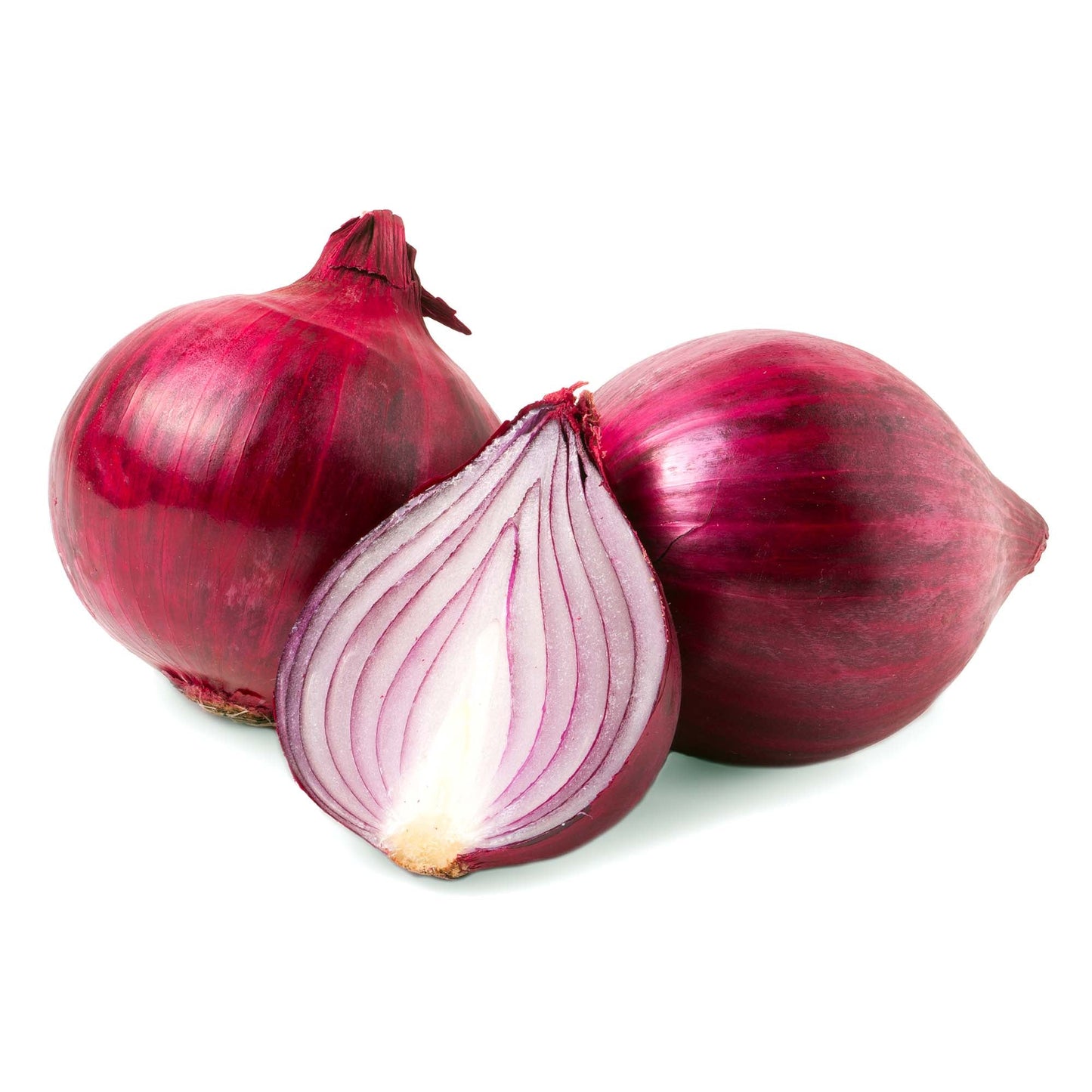 Wholesale Dix Farms Onion Red Org 40lb- Bulk