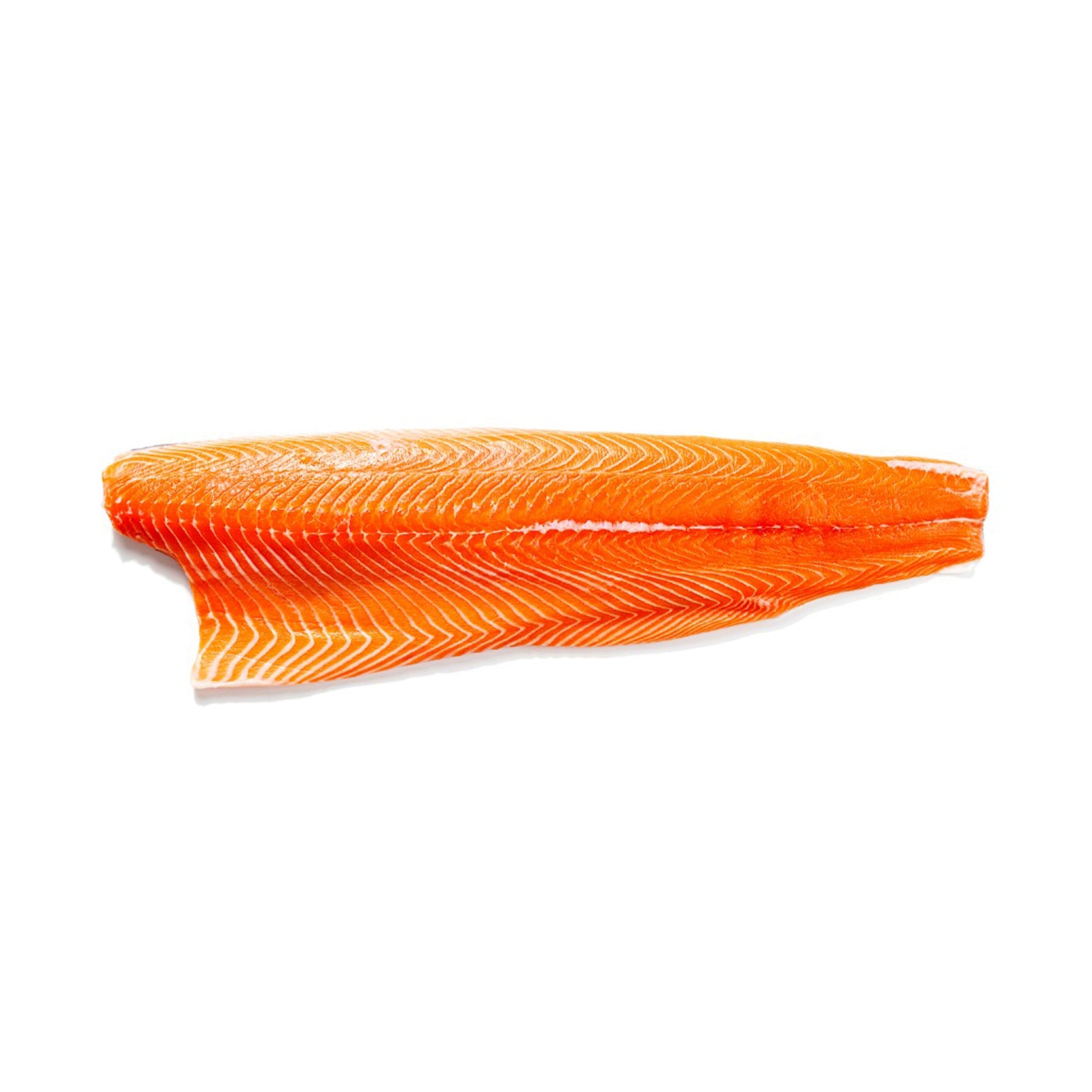 Wholesale Down East Seafood Steelhead Trout Fillet Skin-On 10lb- Bulk