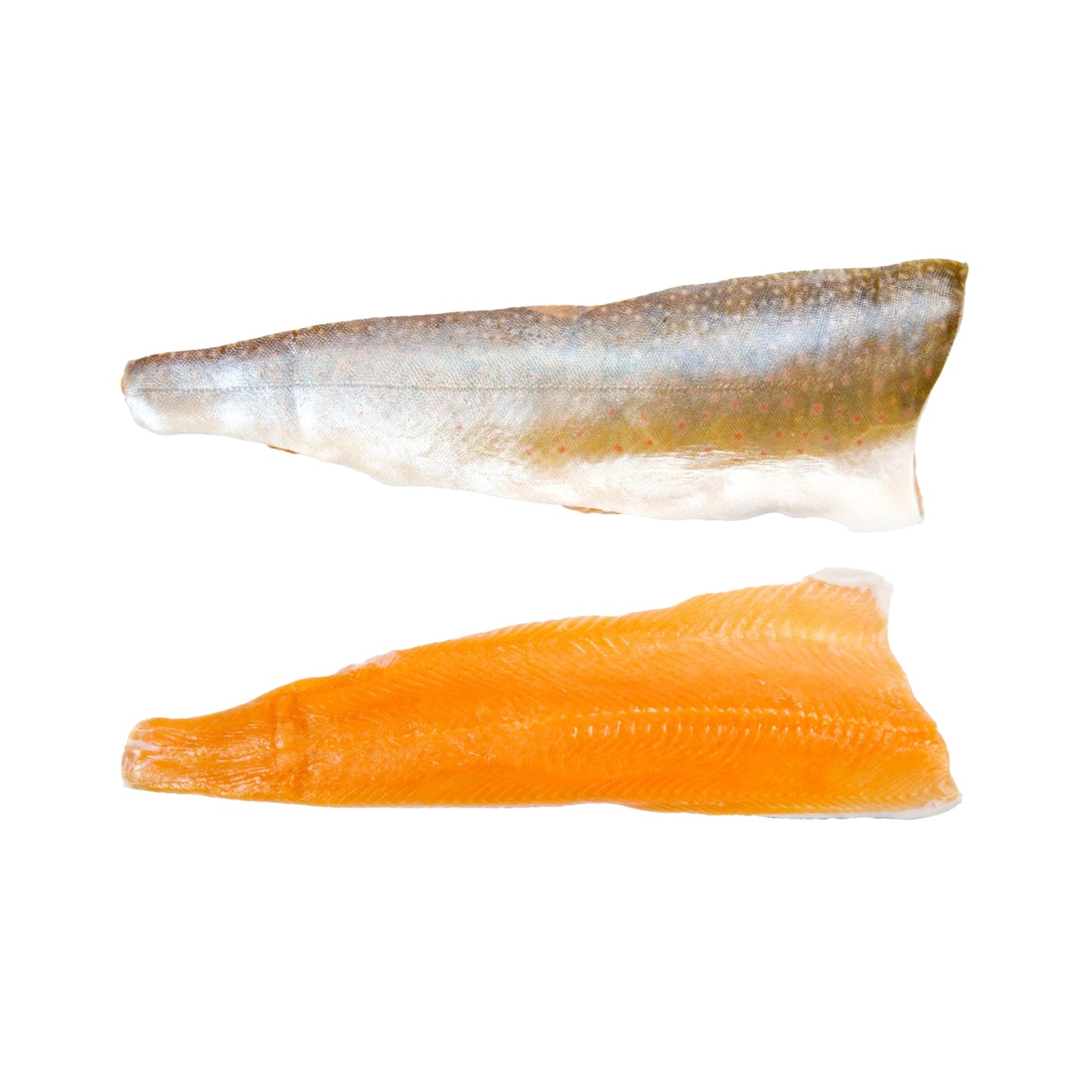 Wholesale Down East Seafood Arctic Char Fillet Skin-on (Pin Bone Out) 10lb- Bulk
