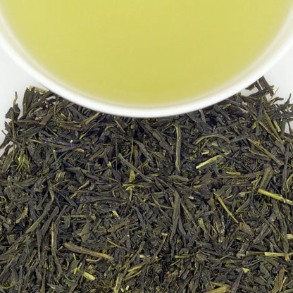 Wholesale Harney & Sons Japanese Sencha Tea Tin- Bulk