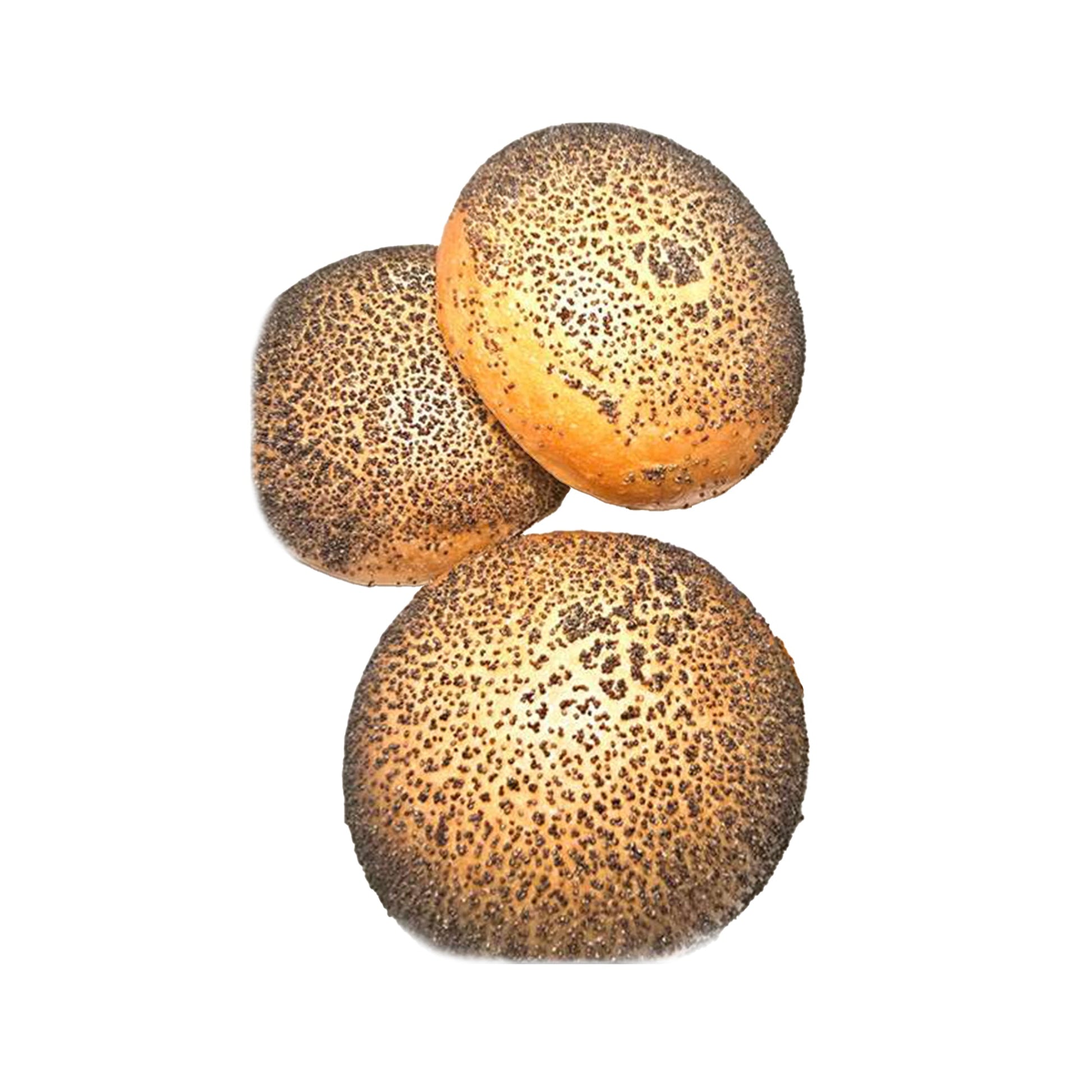 Wholesale Orwashers Bakery Poppy Portuguese Roll, 4"- Bulk