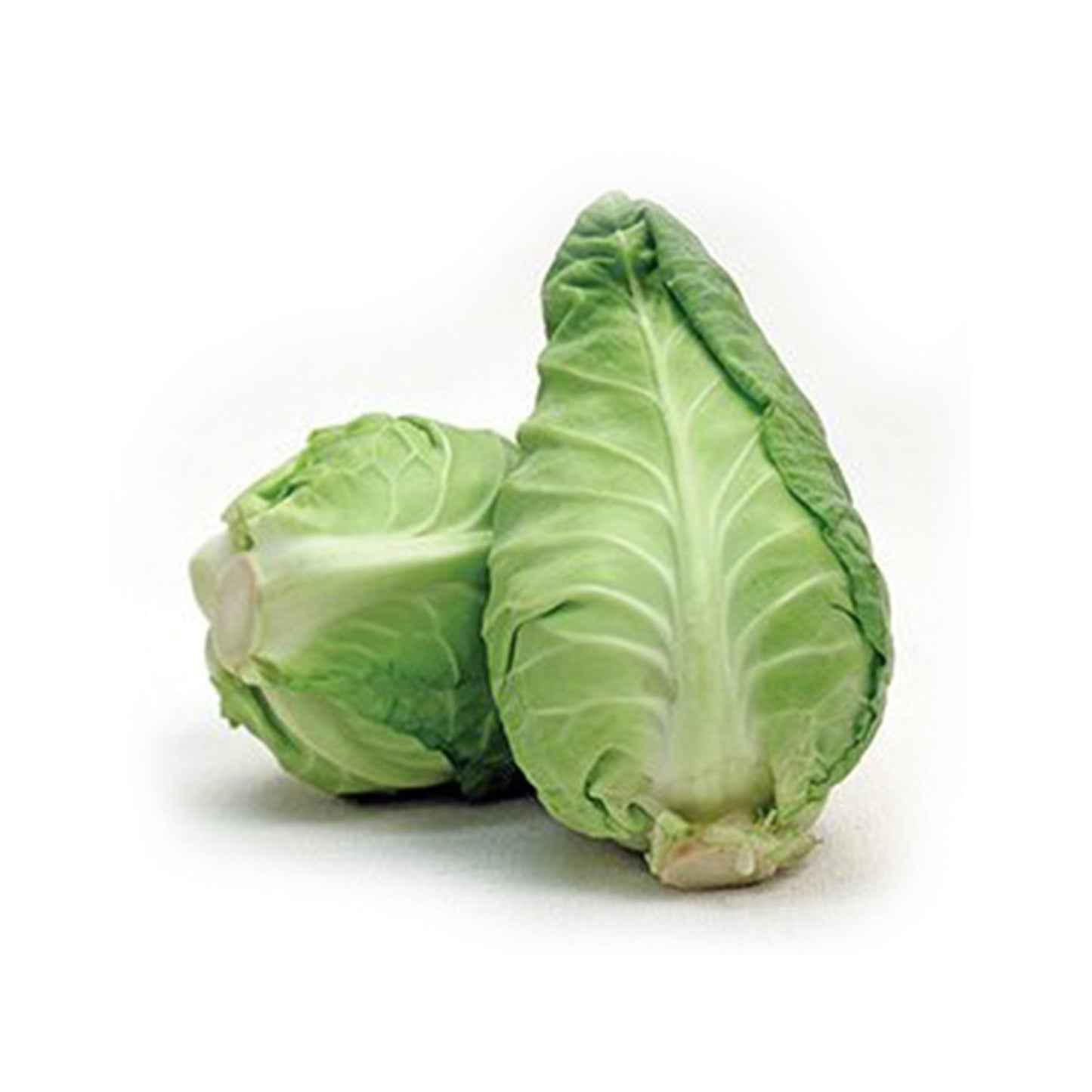 Wholesale Dix Farms Artisan Dew Drop Cabbage- Bulk