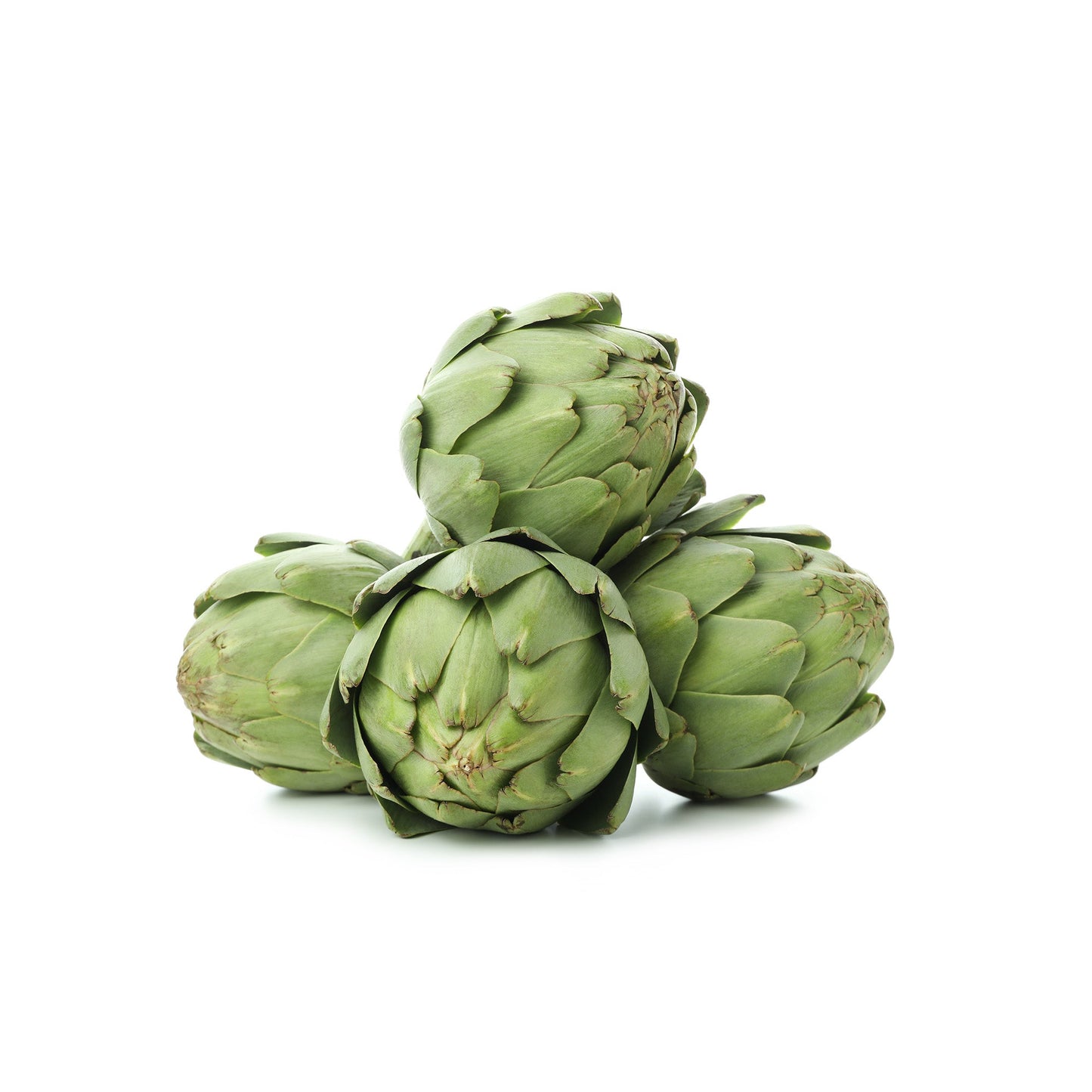 Wholesale Dix Farms Large Cocktail Artichokes- Bulk