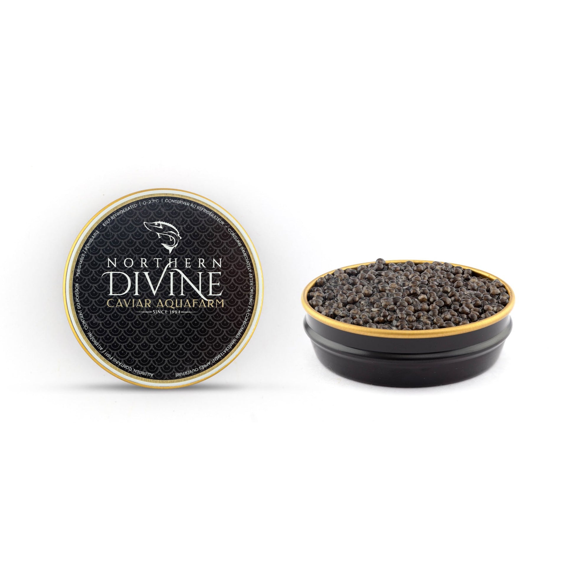 Wholesale Northern Divine White Sturgeon Caviar- Bulk