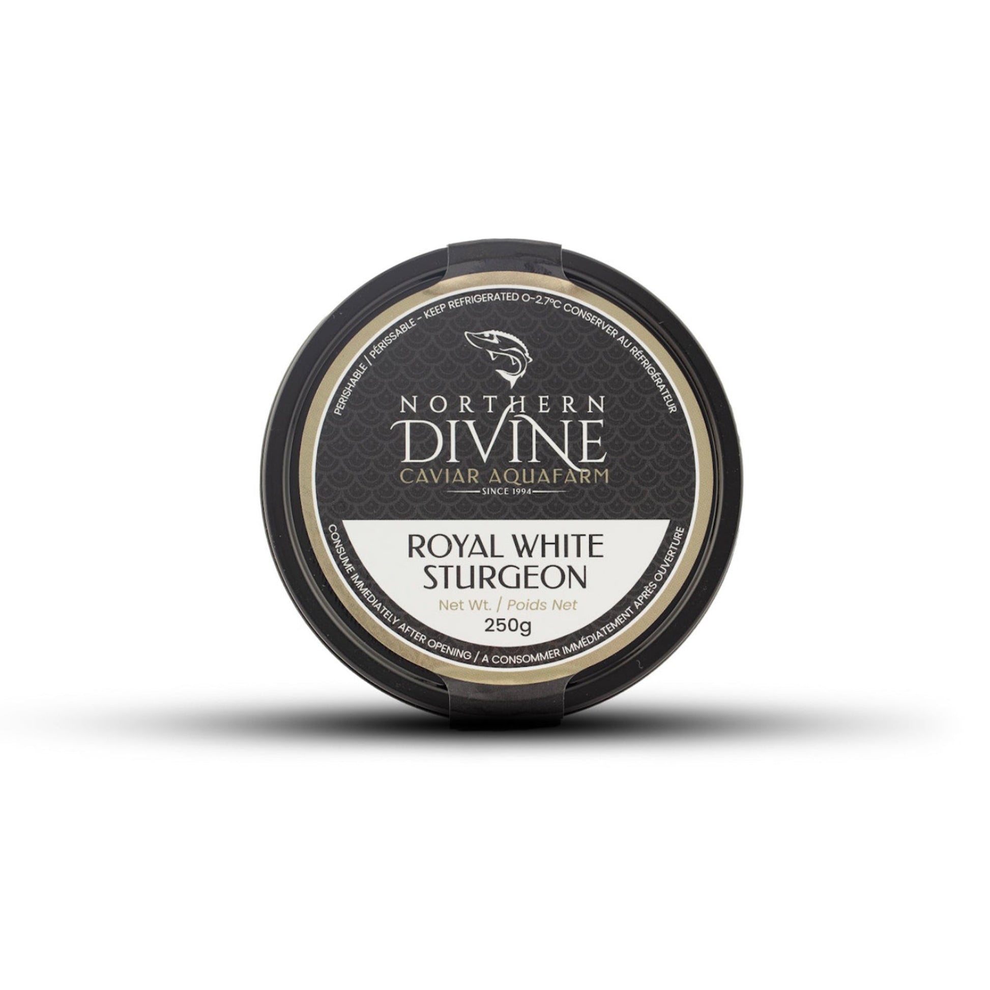 Wholesale Northern Divine White Sturgeon Caviar- Bulk