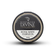 Wholesale Northern Divine White Sturgeon Caviar- Bulk