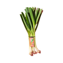 Wholesale Row 7 Organic Sweet Garleek 10lb- Bulk