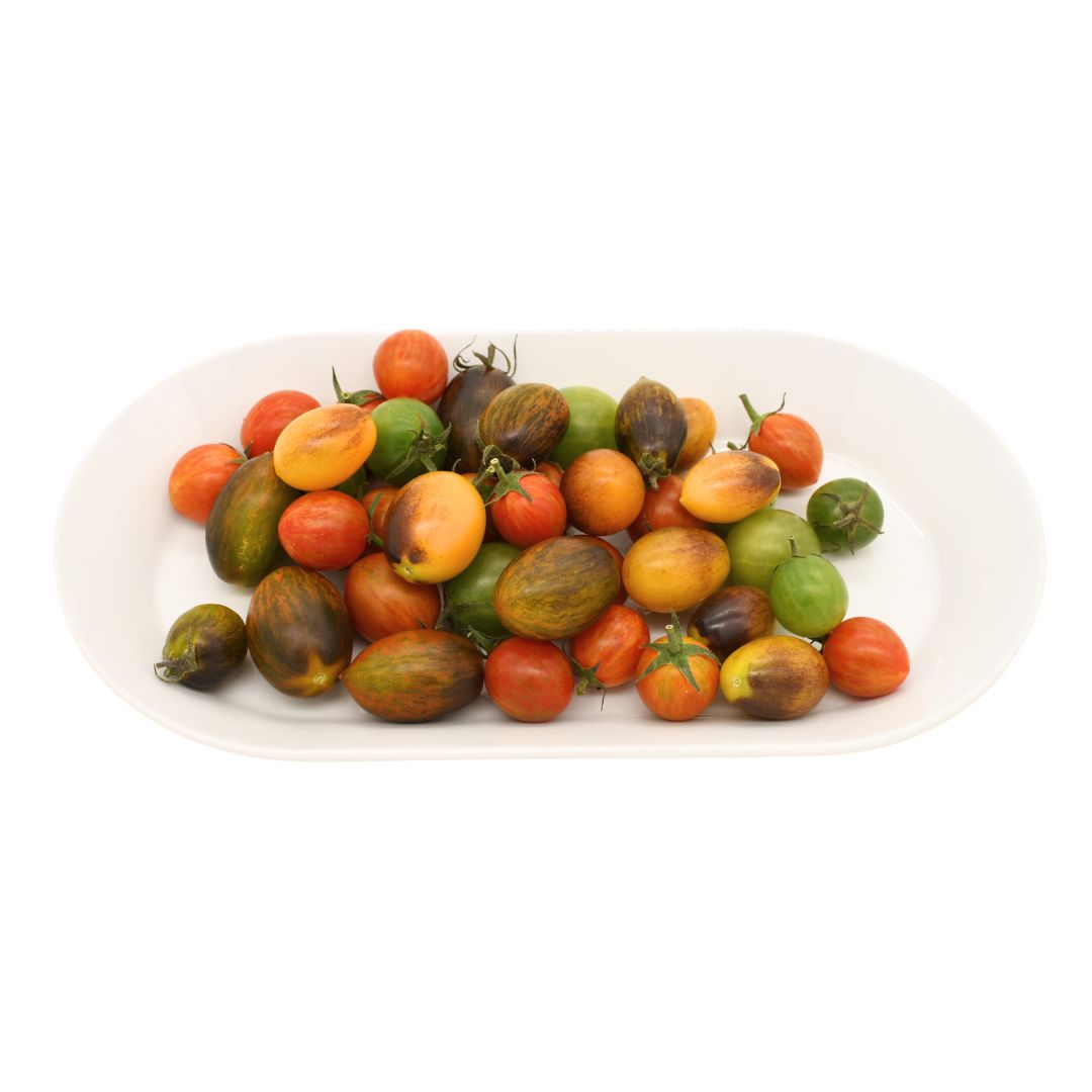Wholesale Girl And Dug Medley Tomato 5lb- Bulk