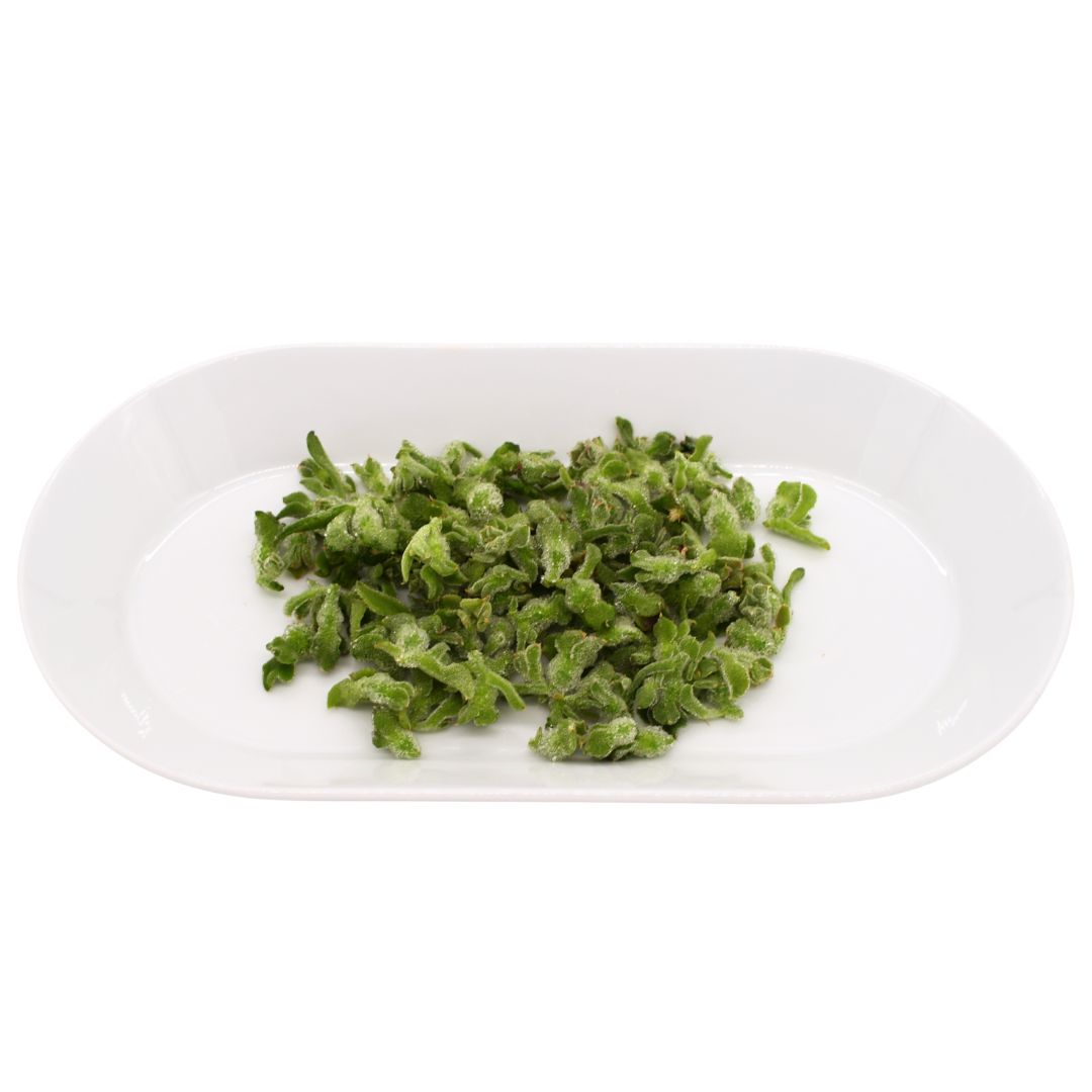 Wholesale Girl And Dug Iceplant Buds- Bulk