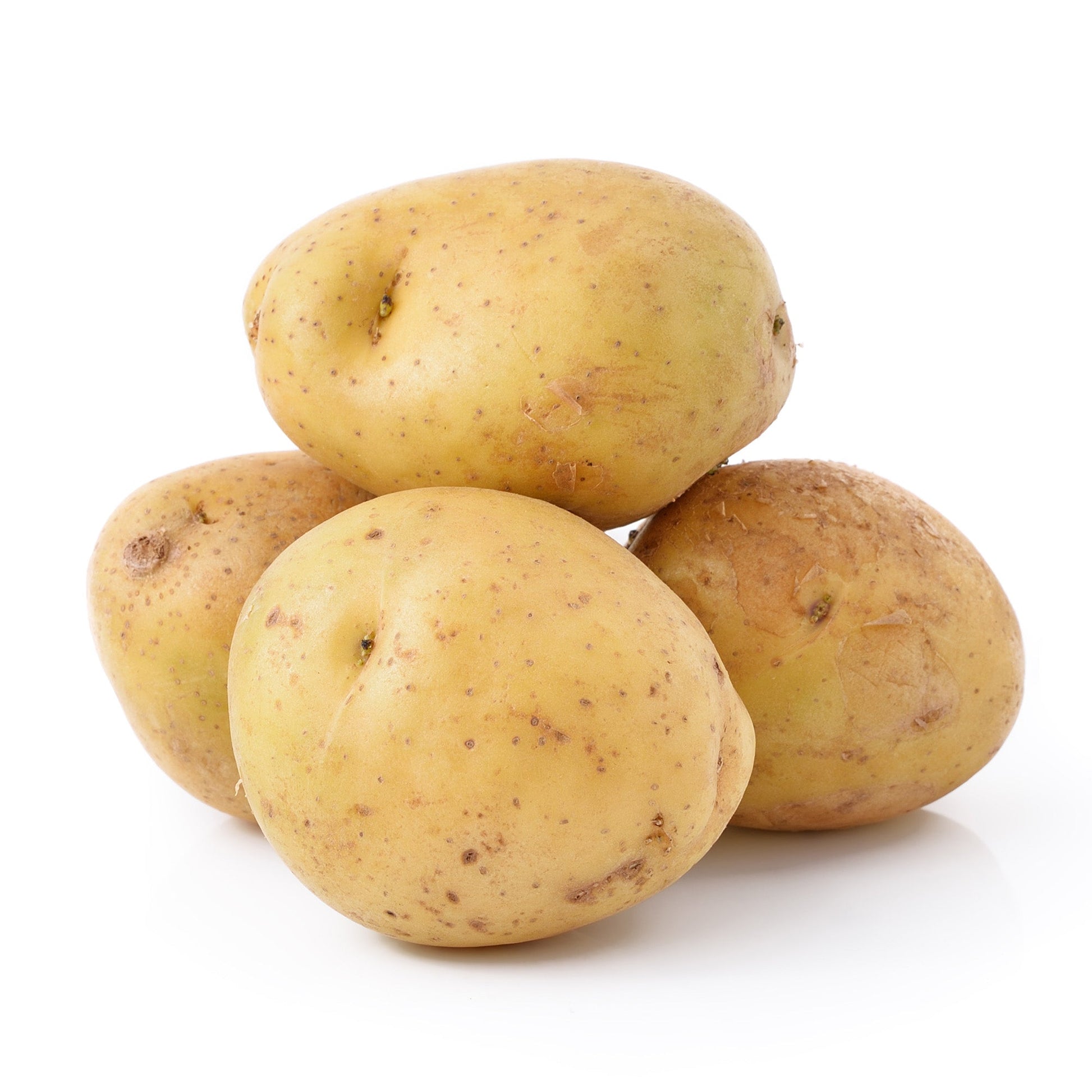 Wholesale Dix Farms Chipperbec Potato 8-12oz 50lb- Bulk