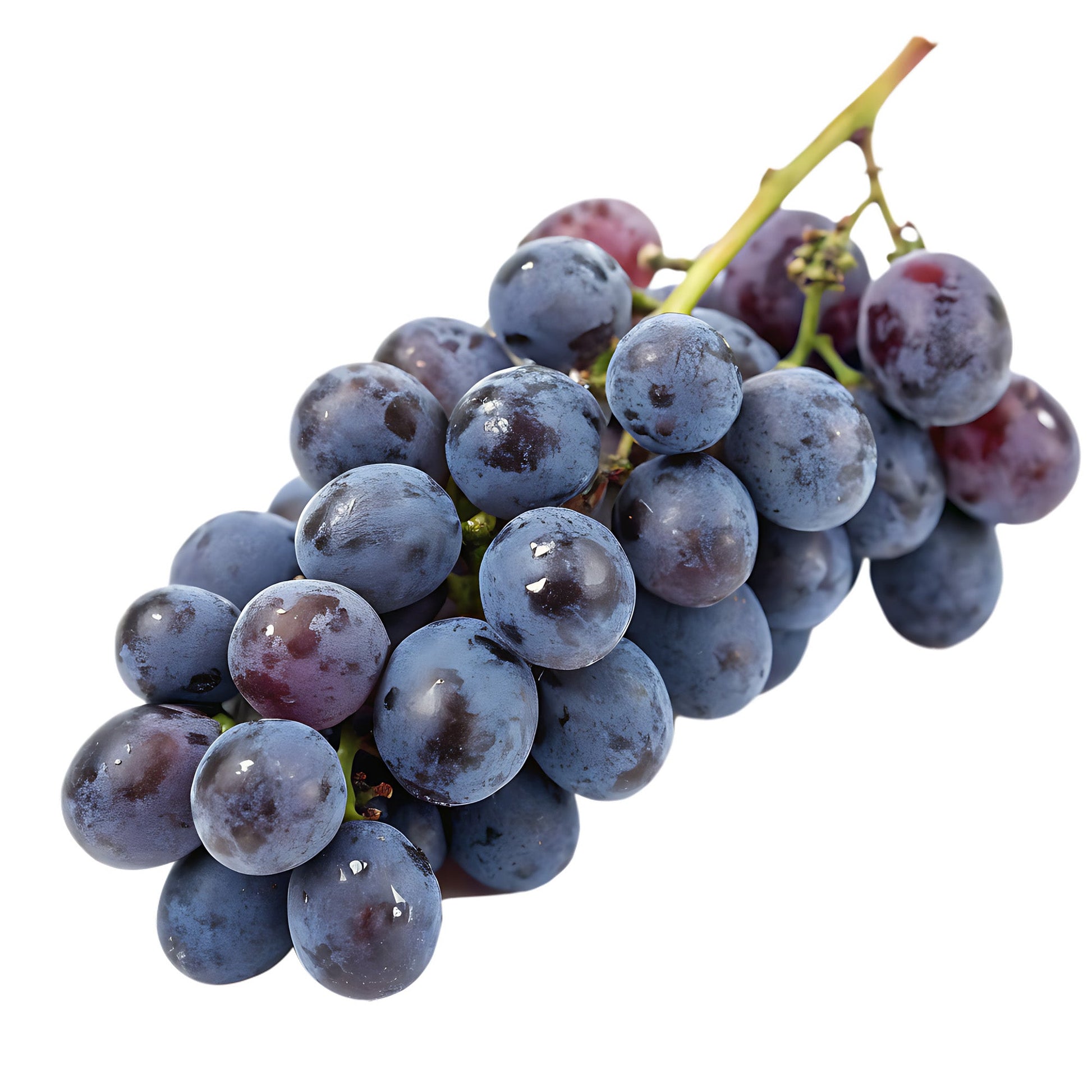 Wholesale Dix Farms Concord Grapes- Bulk