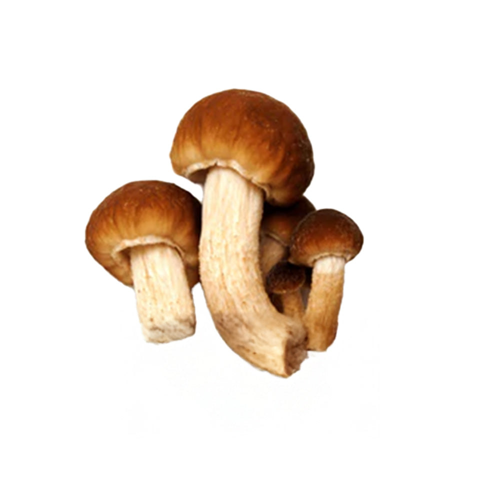 Wholesale Dix Farms Chestnut Mushrooms 3lb- Bulk