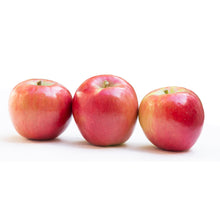 Wholesale Packer Snap Dragon Apple- Bulk