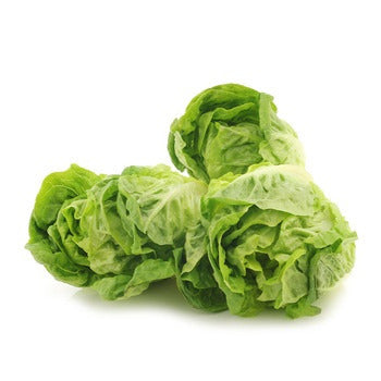 Wholesale Dix Farms Gem Lettuce, Bulk 30lb- Bulk