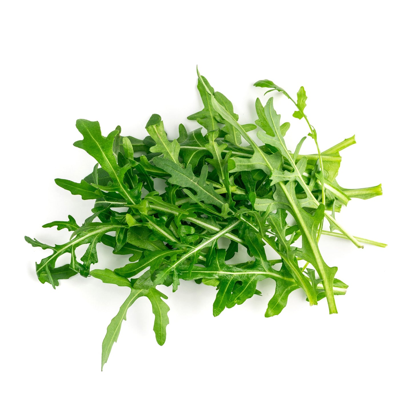 Wholesale Dix Farms Wild Baby Arugula 2lb- Bulk