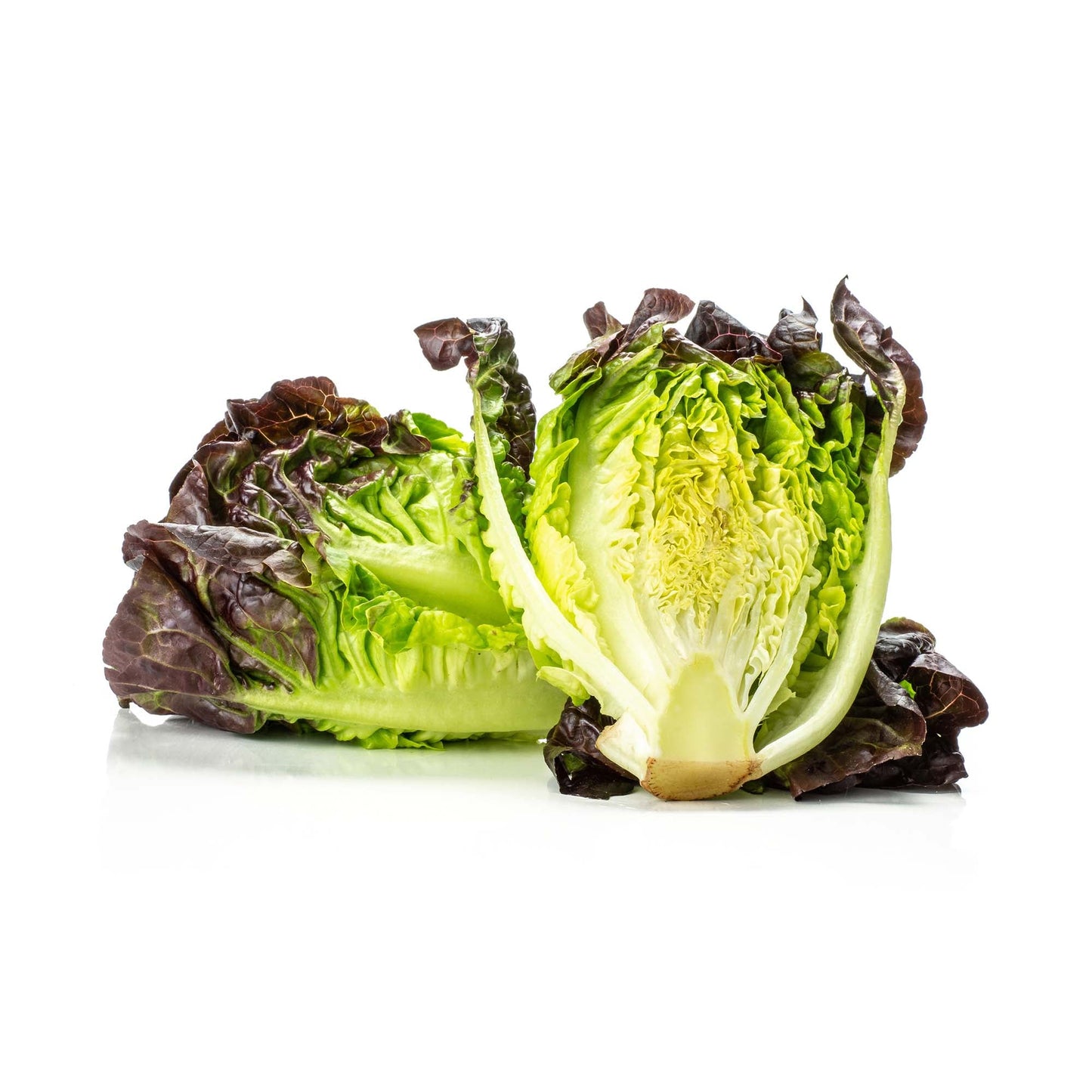 Wholesale Tanimura & Antle Artisan Red Gem Lettuce 6lb- Bulk