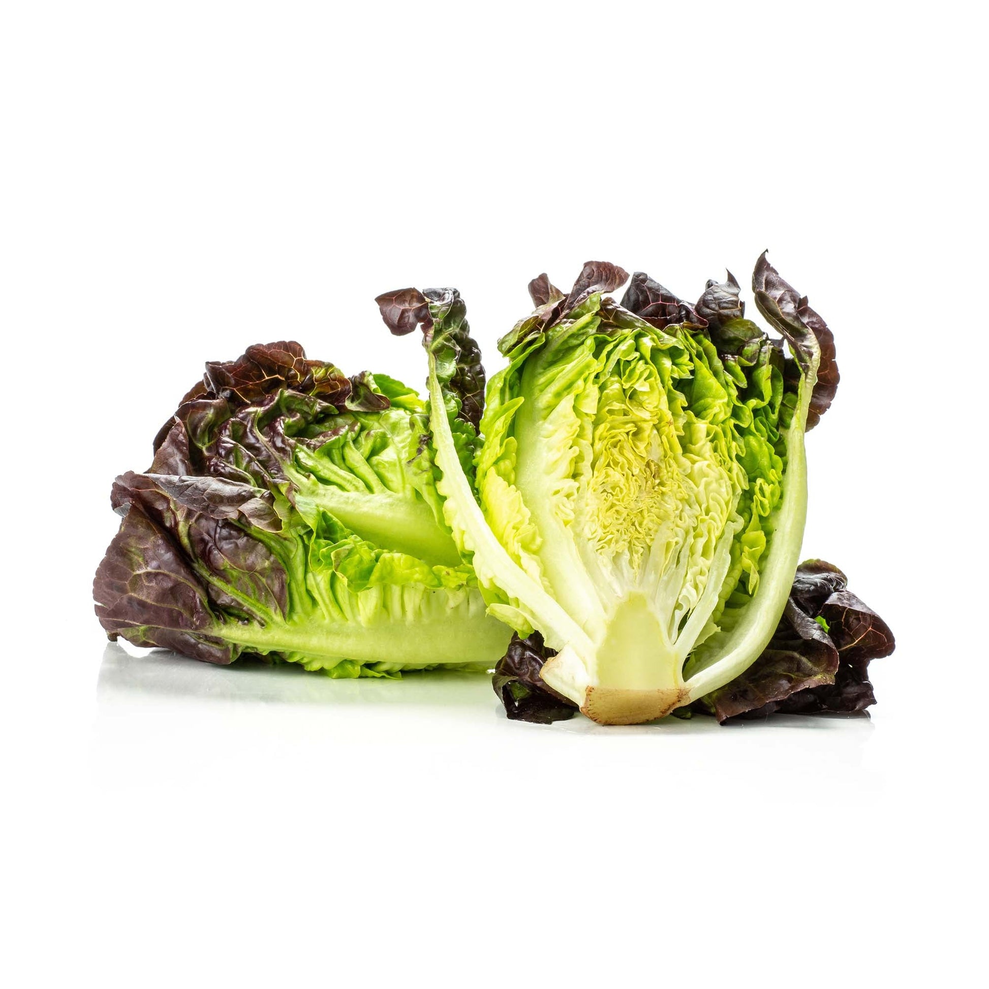 Wholesale Tanimura & Antle Artisan Red Gem Lettuce 6lb- Bulk