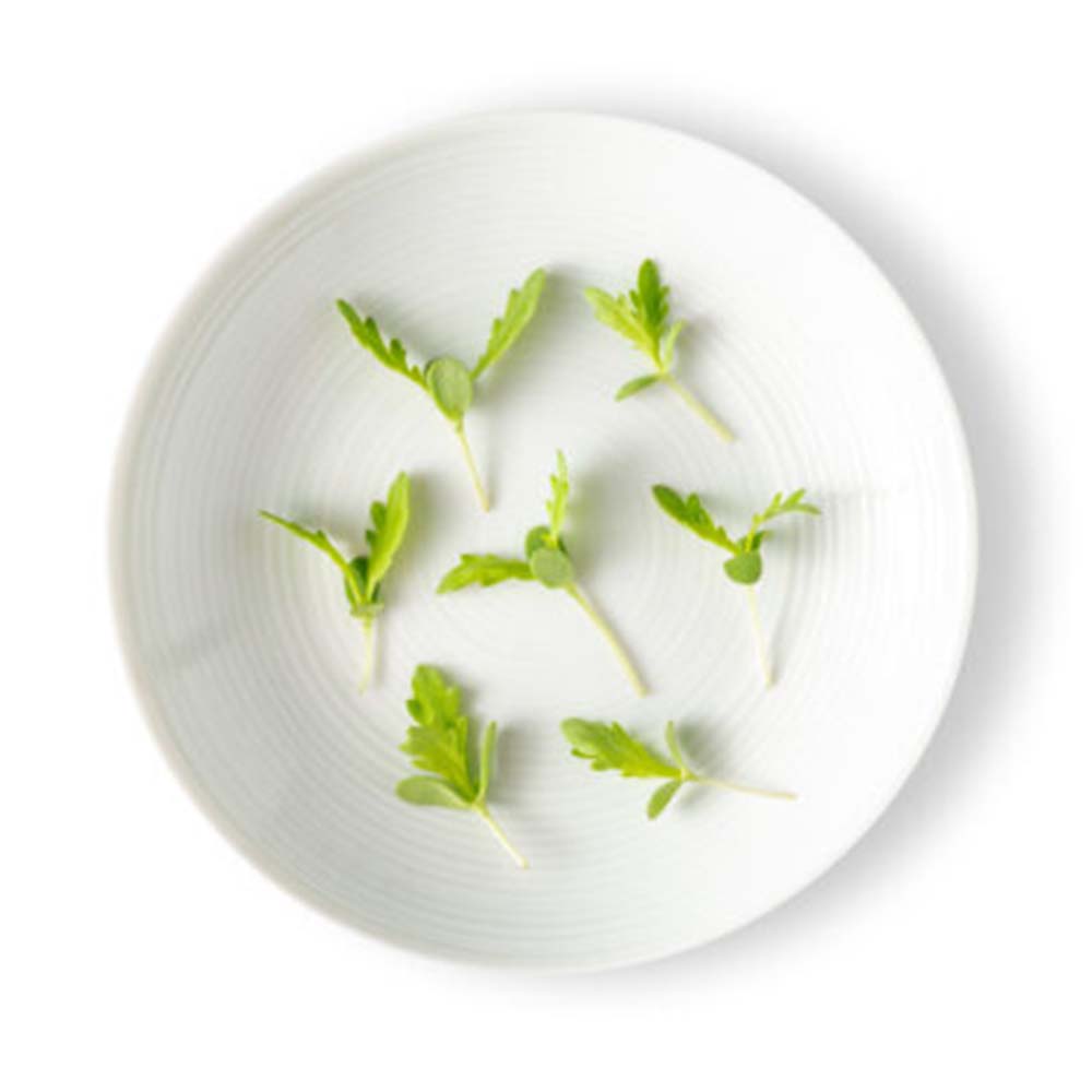 Wholesale Koppert Cress Micro Shungiko Leaves 3oz- Bulk