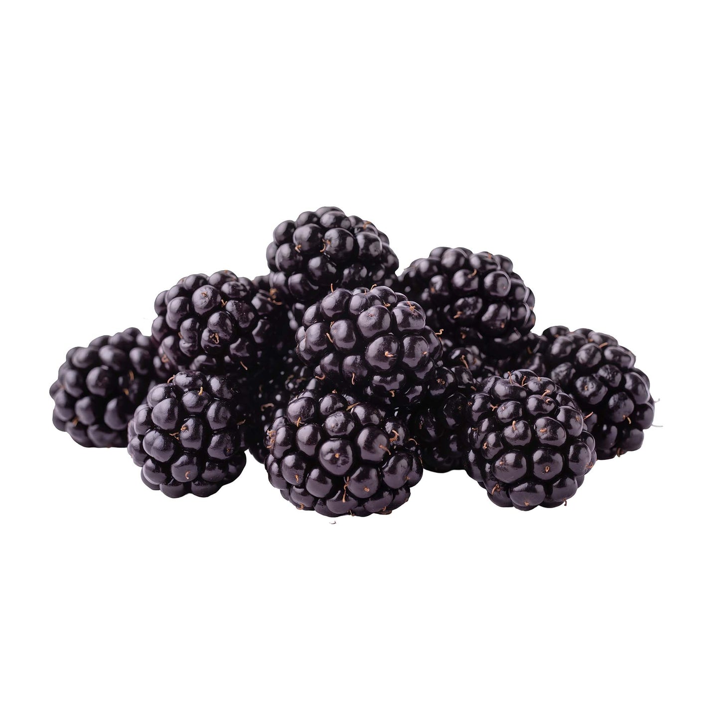 Wholesale Dix Farms Organic Blackberry 6oz- Bulk