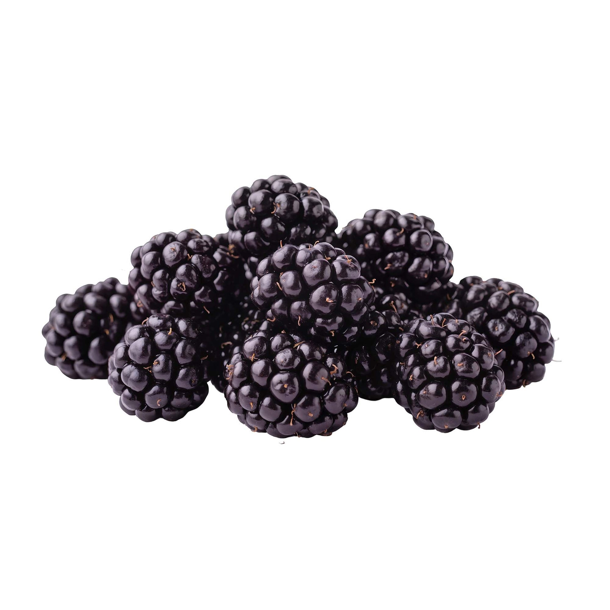 Wholesale Dix Farms Organic Blackberry 6oz- Bulk