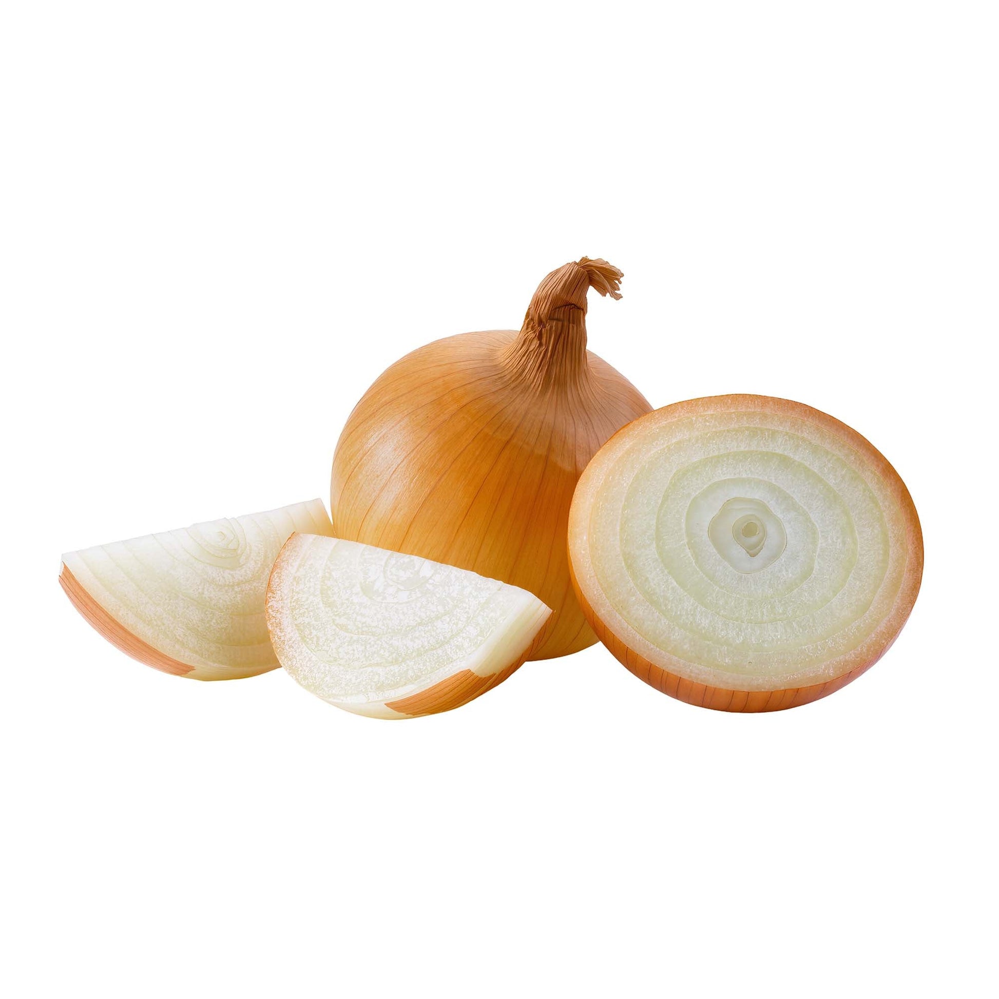 Wholesale Dix Farms Organic Yellow Onion 40lb- Bulk