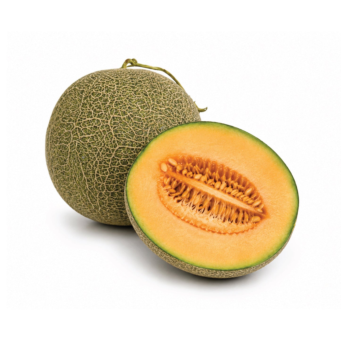 Wholesale Dix Farms Waterloupe Melon- Bulk