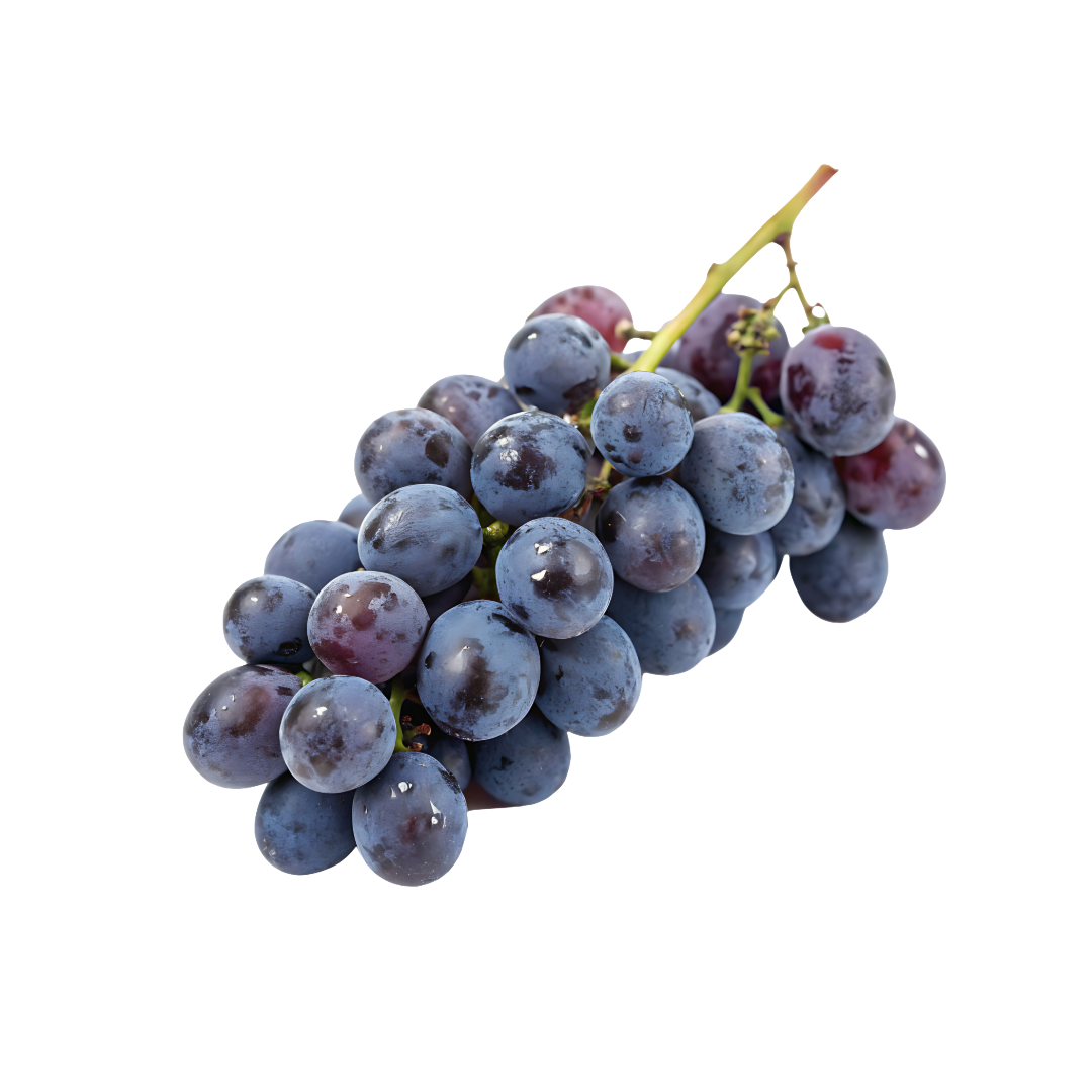 Wholesale Dix Farms Concord Grapes 1lb- Bulk