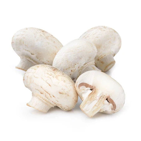 Wholesale Fancy Mushroom | 3 lb- Bulk