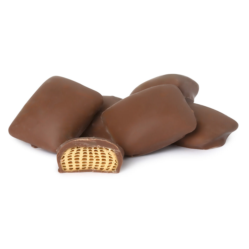 Wholesale BoxNCase Binable Milk Chocolate Sponge- Bulk