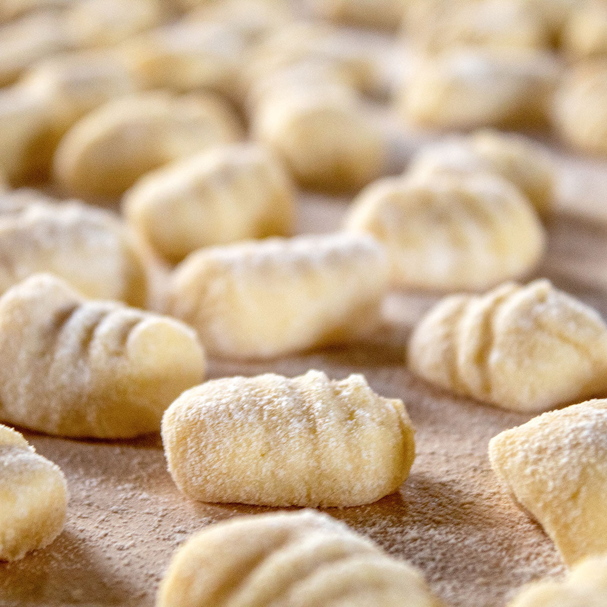 Wholesale Caputo Caputo 00 Pasta Fresca Flour 25kg- Bulk