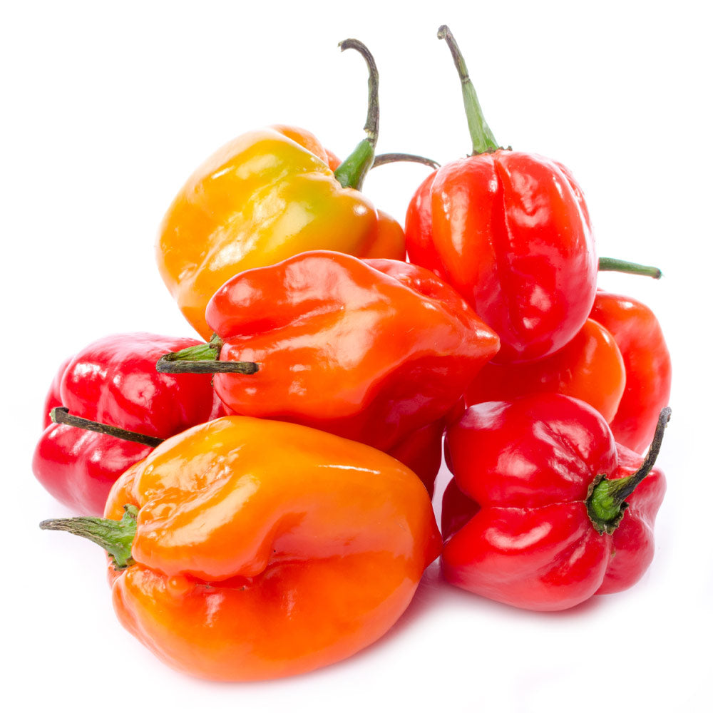 Wholesale BoxNCase Case Scotch Bonnet & Habanero Peppers- Bulk