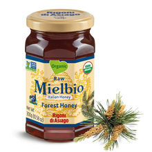 Wholesale Rigoni Di Asiago Forest Org. Honey- Bulk
