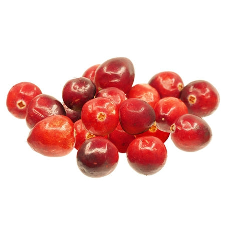 Wholesale BoxNCase Fresh Cranberries | 12 oz- Bulk