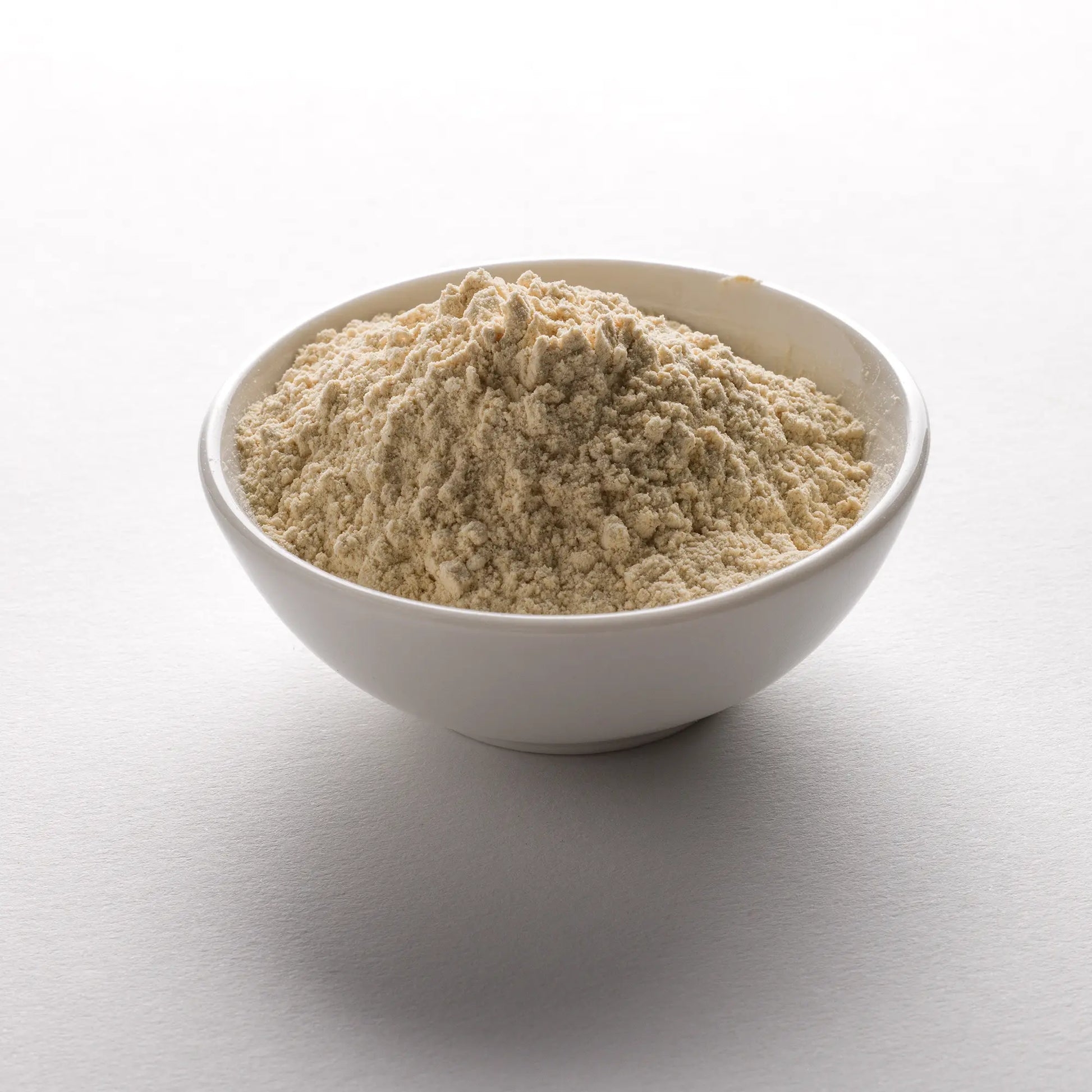 Wholesale BoxNCase Garlic Powder 5lb- Bulk
