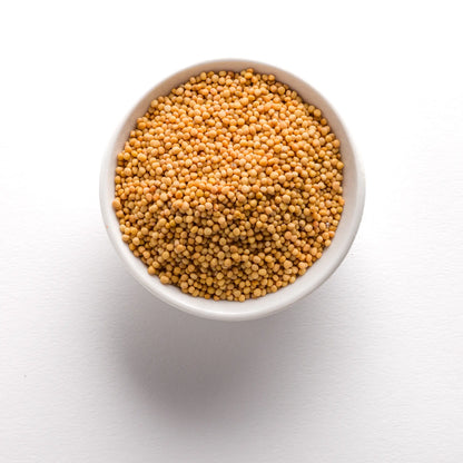Wholesale BoxNCase Whole Yellow Mustard Seed 16oz- Bulk