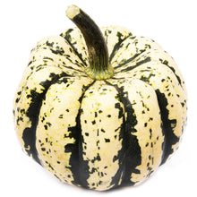 Wholesale Sweet Dumpling Squash | 25 lb- Bulk