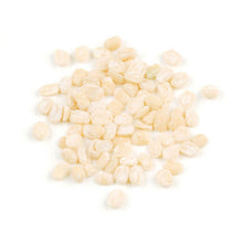 Wholesale D'Allesandro #10 Ivory White Lentils 10lb- Bulk