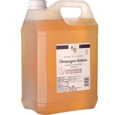 Wholesale Beaufor Champagne Reims Vinegar 5 Liter- Bulk