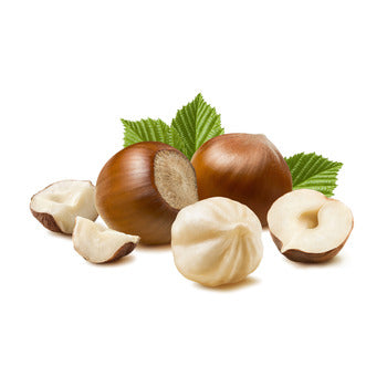 Wholesale Capitol Food Company Natural Skin-on Hazelnuts/filbert 5lb- Bulk