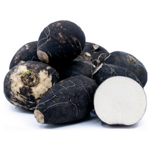Wholesale Black Radish | 10 lb- Bulk