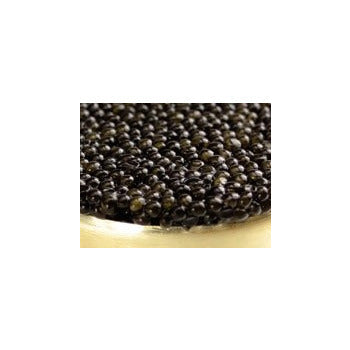 Wholesale Sasanian Premium Sturgeon Caviar 1oz- Bulk
