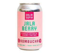 Wholesale Dalai Sofia Jala Berry Kombucha 12 Oz- Bulk