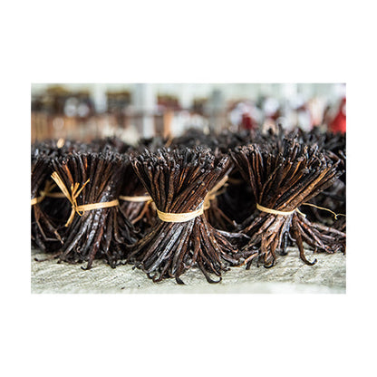Wholesale Nielsen-Massey Madagascar Bourbon Vanilla Beans 4oz- Bulk