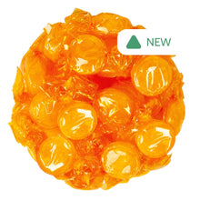 Wholesale Butterscotch Buttons- Bulk