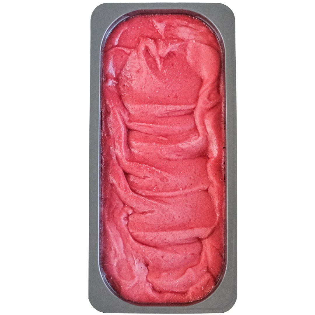 Wholesale Gelato Fest Case Raspberry Sorbet- Bulk