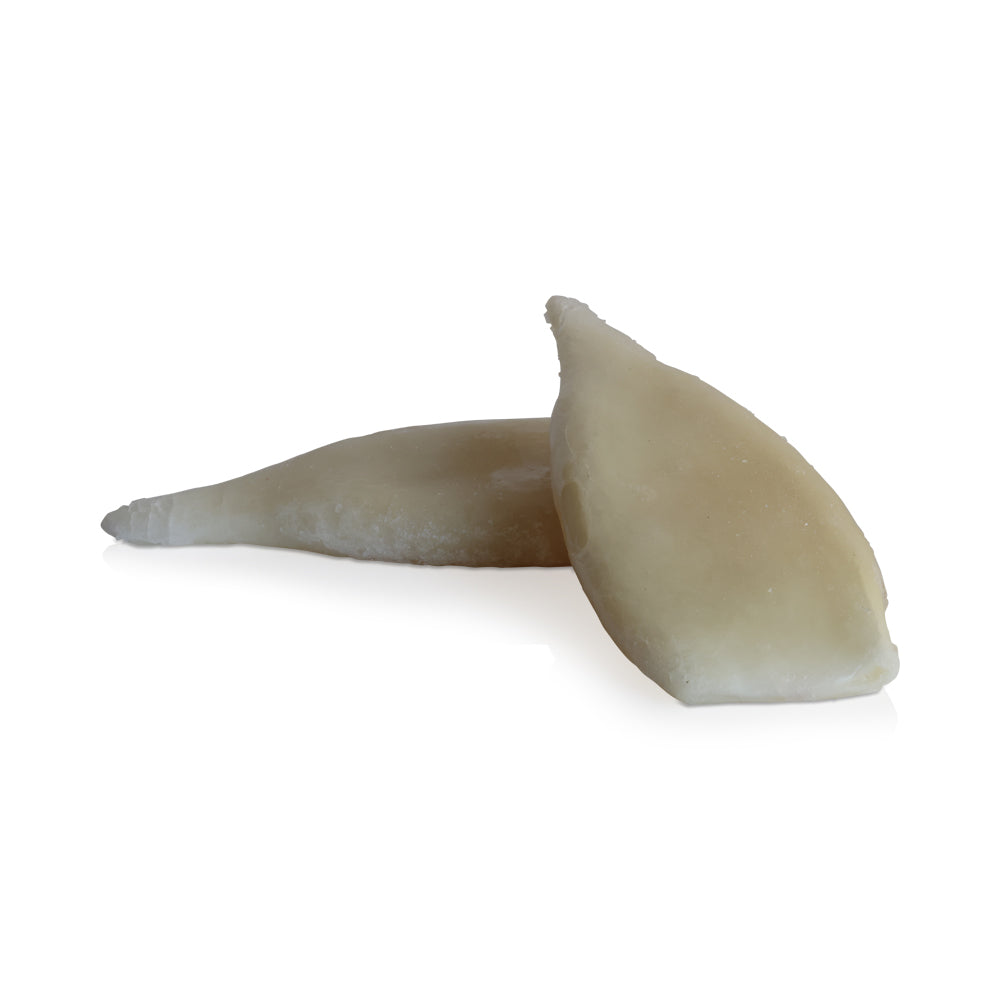 Wholesale Sea Apple China Case 5-8 Calamri Tubes Only- Bulk