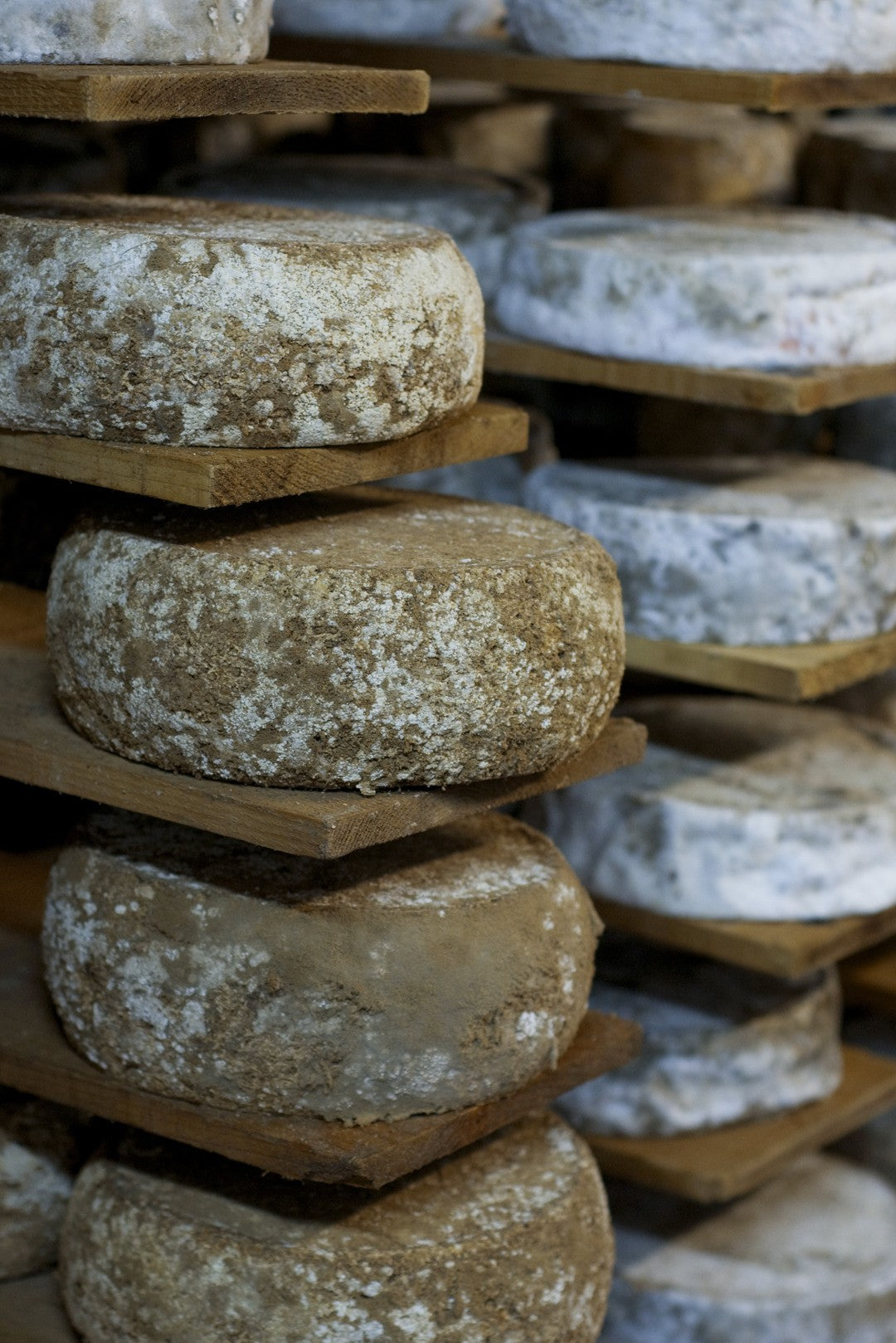 Wholesale Paccard Grosse Tomme Alpage 2/3K -P- Bulk
